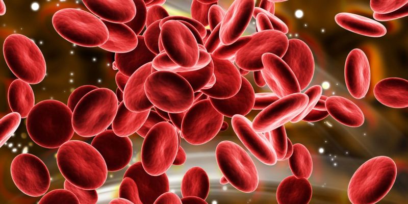 ERYTHROPOIETIN PRODUCTS