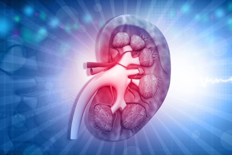 NEPHROLOGY